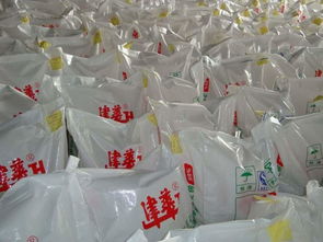 了解食品级片碱及其在散装食品中的高纯度应用——探讨天津市津华化工厂的产品特性和保护措施